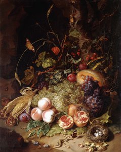 Stilleben med frugt og insekter,