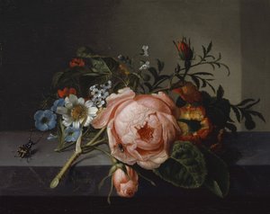 Stilleben med rosengren, bille og bi, 1741 (olie på lærred monteret på eg)