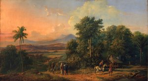 Skov- og naturhus