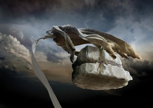 Vejrbidt blad-skyscene af Radoslav Penchev