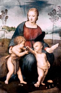 Madonna af Guldfinken, 1507 af Raffaello Sanzio Raphael