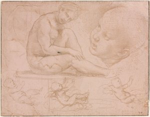 Studier af en siddende kvinde, barnets hoved og tre studier af en baby, ca. 1507-8. af Raffaello Sanzio Raphael