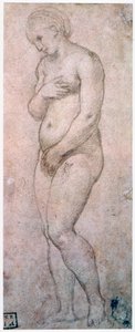 Studie af Venus, c1500-1520 af Raffaello Sanzio Raphael