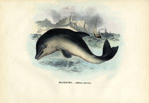 Marsvin, 1863-79