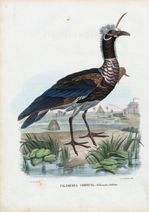 Hornskriger, 1863-79 af Raimundo Petraroja