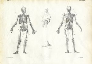 Human Being, 1863-79 af Raimundo Petraroja