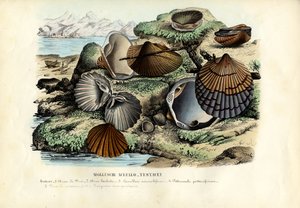 Muslinger, 1863-79