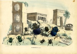 Scarab biller, 1863-79