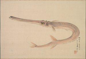 Nålefisk levede, 1870. af Raisho Nakajima