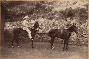 Kaptajn H. S. Rawhinson (forside) af Raja Deen Dayal