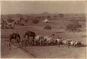 Tungt feltbatteri, Jhansi af Raja Deen Dayal