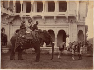 Ramkishore Singh fra Rewa af Raja Deen Dayal