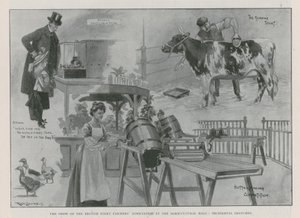 Showet fra British Dairy Farmers