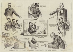 Debatten om lovforslaget om våben (Irland), noter i Underhuset af Randolph Caldecott