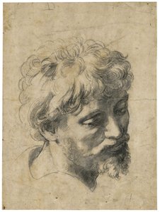 ""Portræt af en ung apostel"" (hoved for en ung apostel) Trækul på papir af Raphael (Raffaello Sanzio) (1483-1520) Privat samling