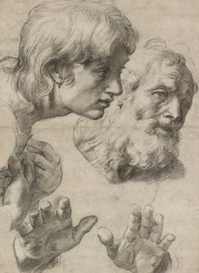 Studier af to apostles hoveder og deres hænder (sort kridt berørt med hvidt på gråligt papir) af Raphael