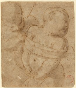 Amor bundet af Raphael