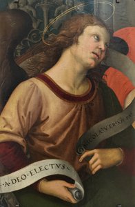 Fransk: Ange tenant un phylactère Angel Holding a Phylactery af Raphael