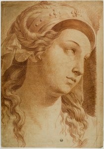 Leder af Comity af Raphael