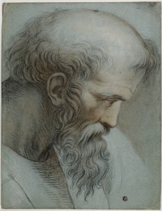 Leder af Pythagoras af Raphael