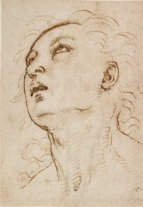 Hovedet af en ung mand, der stirrer opad, c1497-c1504