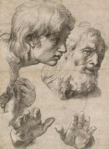 Studier af to apostles hoveder og deres hænder, 1500-tallet af Raphael