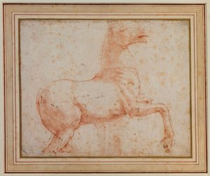 Studie af en af Quirinal-marmorhestene, ca. 1515-17 af Raphael