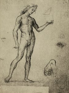 Mandlig nøgenstudie; tegning af Raphael. Gallerie dellAccademia, Venedig