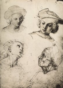 Undersøgelse af fire mandlige ansigter; tegning af Raphael. Gallerie dellAccademia, Venedig af Raffaello Sanzio Raphael
