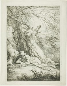 Brigand liggende under et træ