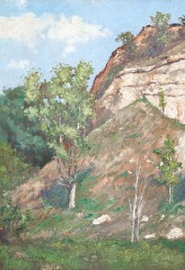 Træer foran en lille klippe af Raymond Bonnefon