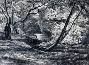 Underskov med flod (trækul)