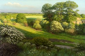 Landskab af Raymond Booth
