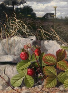 Jordbær (olie på panel) af Raymond Booth