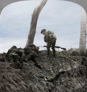 Slaget ved Polygon Wood, nær Ypres, Flandern, Belgien, Første Verdenskrig, september 1917 af Realistic Travels Publishers