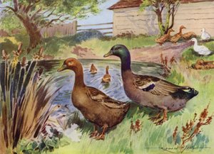 Illustration til My Farm (farve litho)