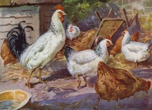 Illustration til My Farm (farve litho)