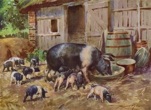 Illustration til My Farm (farve litho) af Reginald Mills