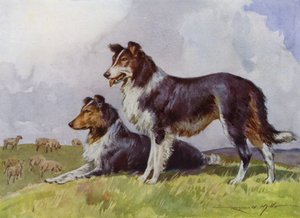 Illustration til My Farm (farve litho)