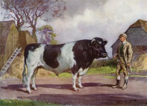 Illustration til My Farm (farve litho)