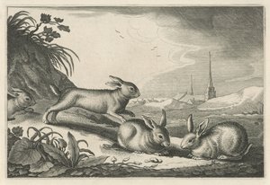 Klitlandskab med kaniner Diversa Animalia Quadrupedia (serietitel)