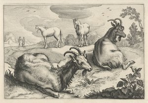 Landskab med to geder og to heste Diversa Animalia Quadrupedia (serietitel)