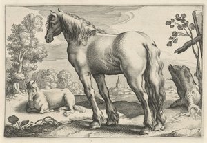 Landskab med to heste Diversa Animalia Quadrupedia (serietitel)
