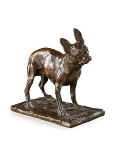 Fransk bulldog, lille model, 1905