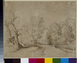 En skovklædt vej, ca. 1650 (pen og blæk på papir) af Rembrandt Harmensz. van Rijn