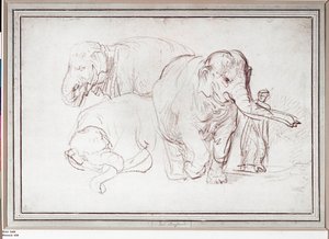 Tre elefanter. Blyantstegning (tegning) af Rembrandt Harmensz. van Rijn
