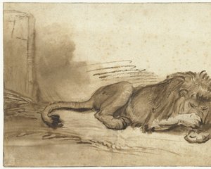 Tilbagelænet løve med forpoten over næsepartiet af Rembrandt van Rijn (school of)