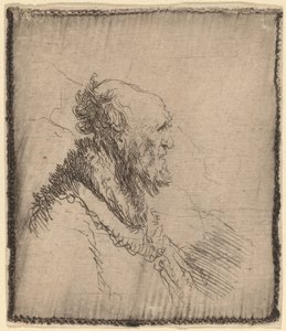 Skaldet gammel mand med kort skæg i profil af Rembrandt van Rijn