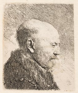 Skaldet mand i profil (Rembrandts far?) af Rembrandt van Rijn
