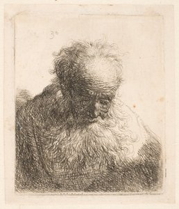 Buste af en gammel mand med bølgende skæg: hovedet bøjet fremad: venstre skulder uden skygge af Rembrandt van Rijn